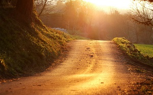 El camino correcto